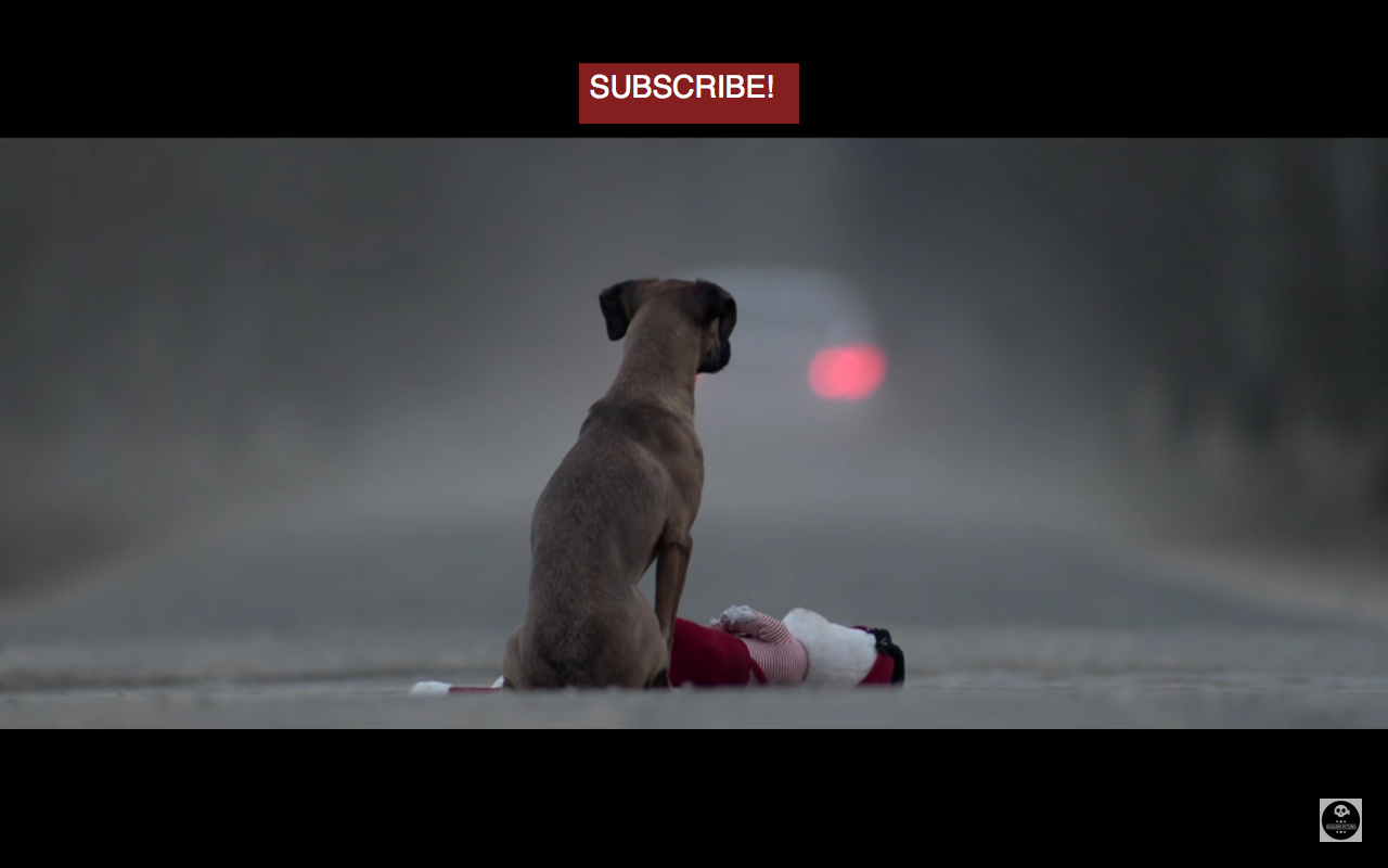 Просит сильнее видео. Короткометражка подарок премьера в России 2015 про щенка.